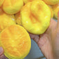 Food-Shaped Slow-Rebound Squeeze Toy — QIUOLA | qiuola.com