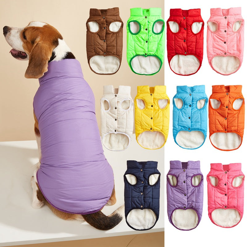 Warm Padded Dog Vest with Button Closure – XS–3XL — QIUOLA | qiuola.com