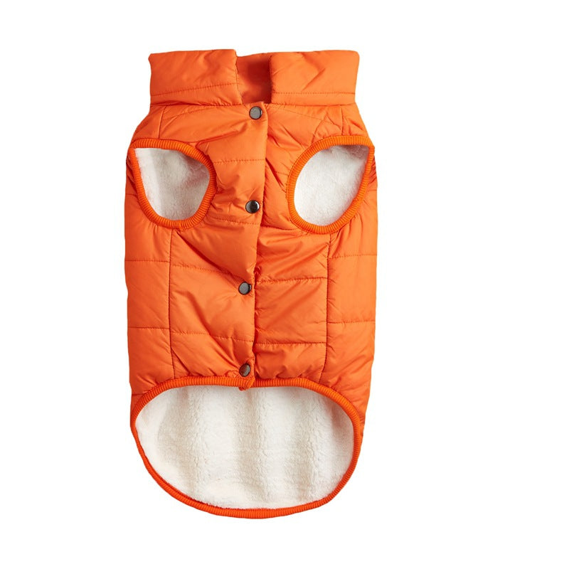 Warm Padded Dog Vest with Button Closure – XS–3XL — QIUOLA | qiuola.com