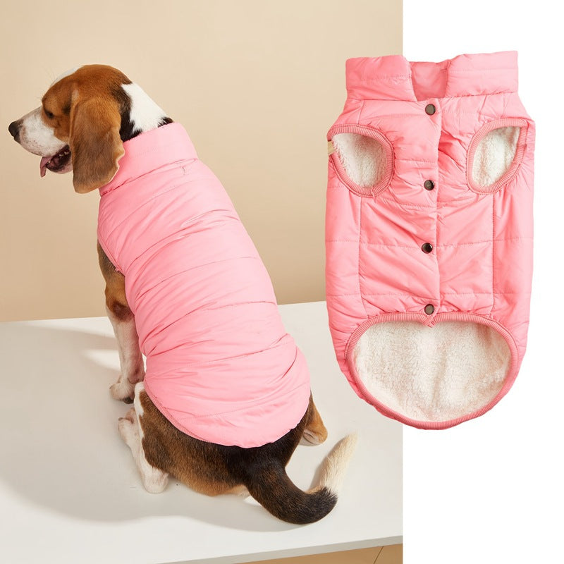 Warm Padded Dog Vest with Button Closure – XS–3XL — QIUOLA | qiuola.com