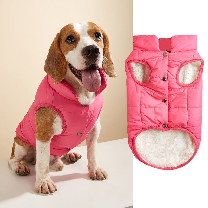 Warm Padded Dog Vest with Button Closure – XS–3XL — QIUOLA | qiuola.com