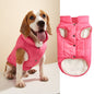 Warm Padded Dog Vest with Button Closure – XS–3XL — QIUOLA | qiuola.com