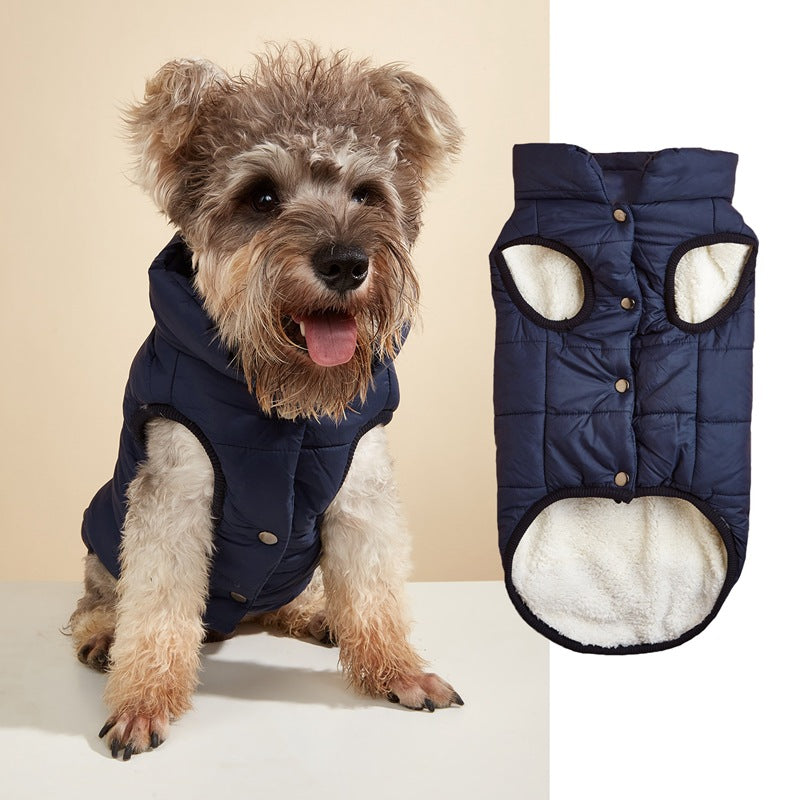 Warm Padded Dog Vest with Button Closure – XS–3XL — QIUOLA | qiuola.com