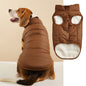 Warm Padded Dog Vest with Button Closure – XS–3XL — QIUOLA | qiuola.com