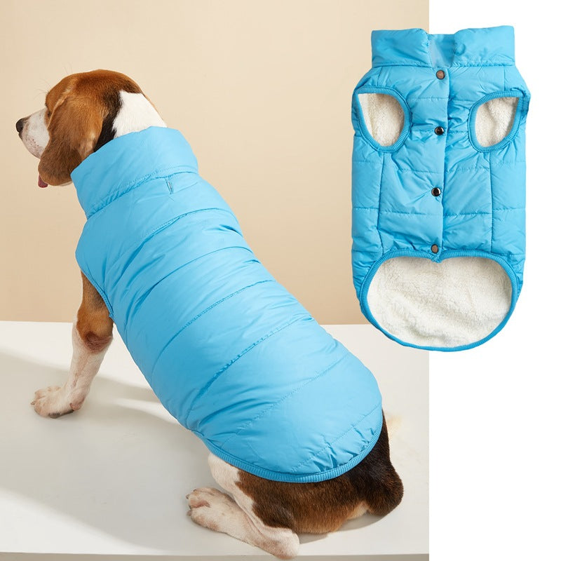Warm Padded Dog Vest with Button Closure – XS–3XL — QIUOLA | qiuola.com