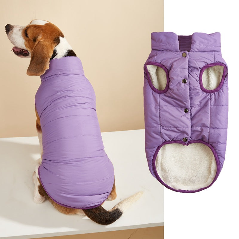 Warm Padded Dog Vest with Button Closure – XS–3XL — QIUOLA | qiuola.com