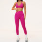 Women's Seamless Two-Piece Yoga & Workout Set — QIUOLA | qiuola.com